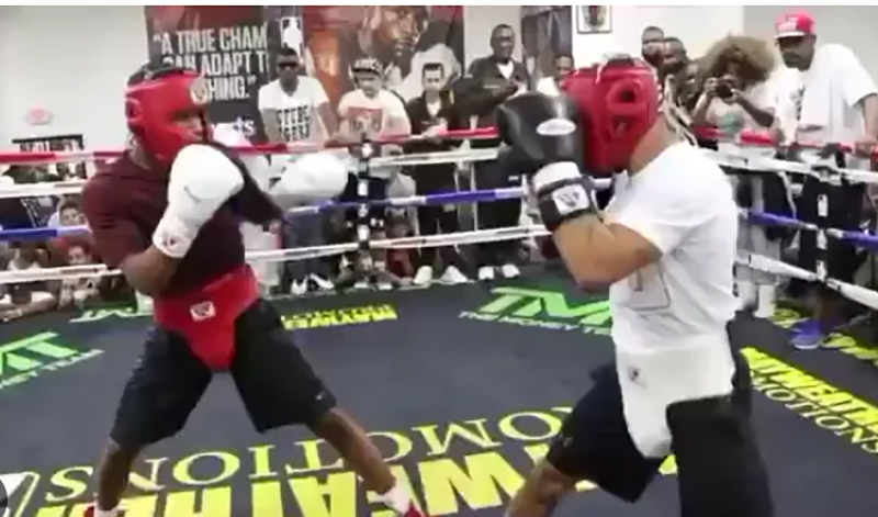 gervonta davis devin haney sparring