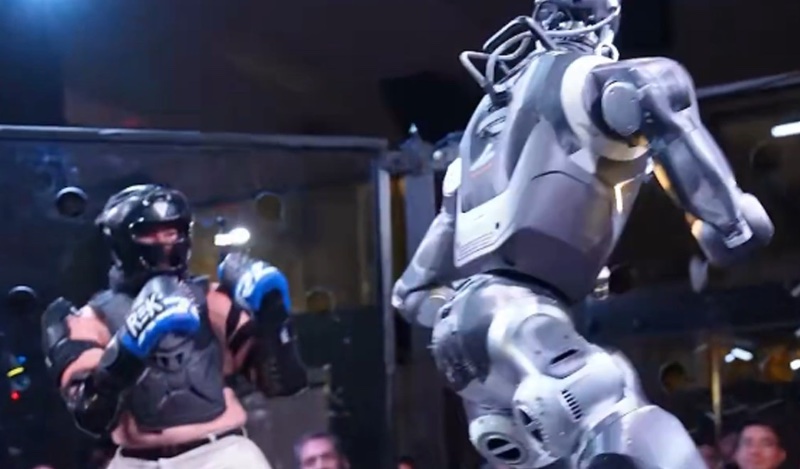terminator vs robot