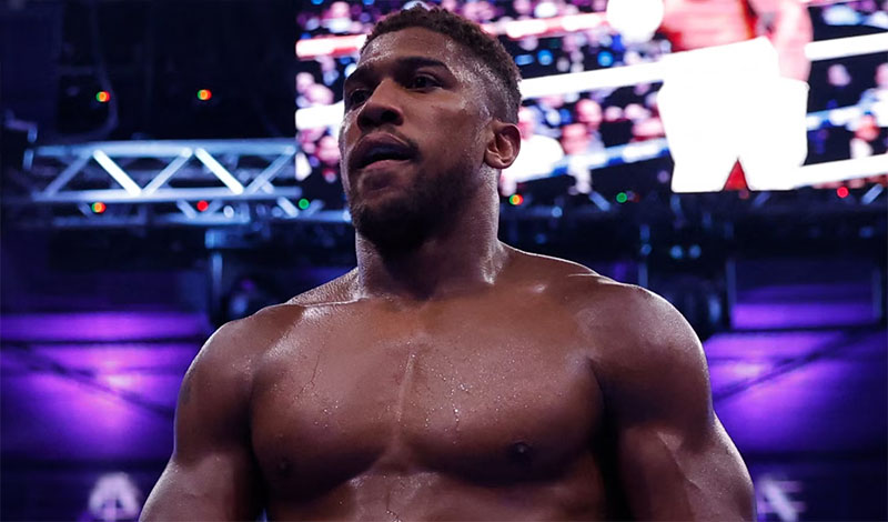 anthony joshua 20028