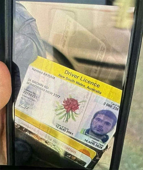 australia paralia 05