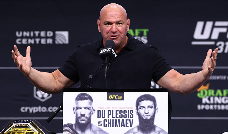 dana white matchmaking