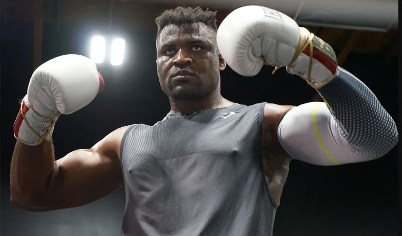 francis ngannou 333