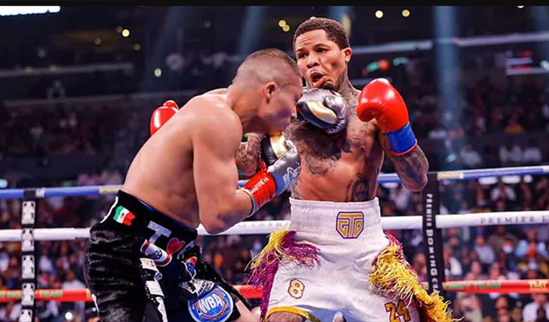 gervonta davis pitbull cruz