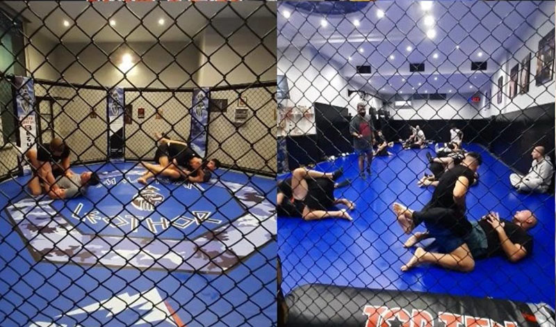 mma team leothor mma ring