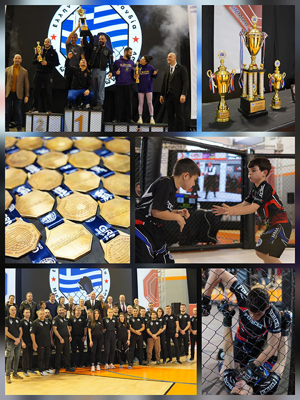 panellinio kypello mma 2026 afisa