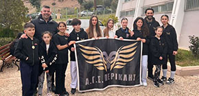 periklis fight academy panellinio karate small