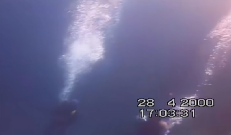 ditis kategrapse thanato