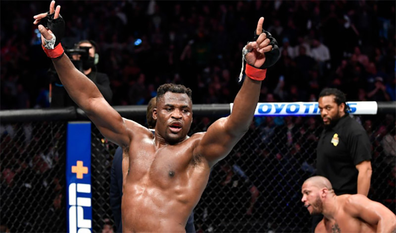 francis ngannou 677