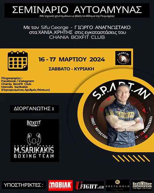 giorgos anagnostakos seminario chania boxfit club