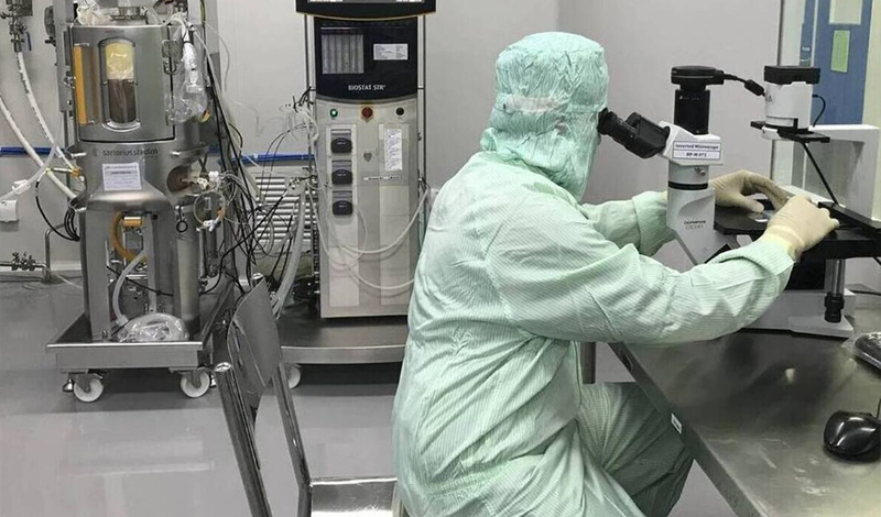 koronoios ergastiria ipa antriou haf andrew