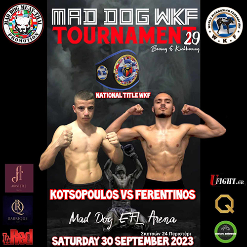 kotsopoulos ferentinos 308