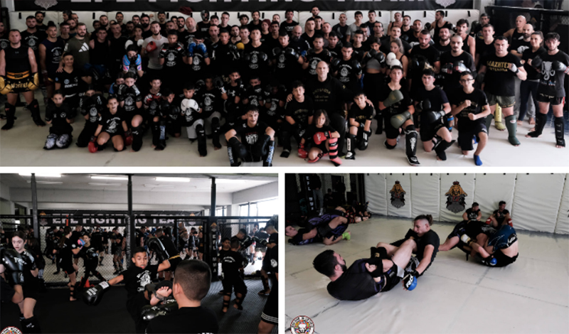 mad dog promotion 59222