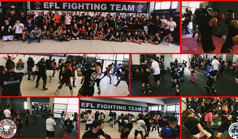 mad dog promotion sparring