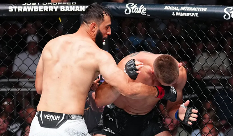 dominick reyes dustin jacoby 