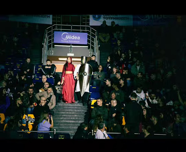 no limits 33 arthro 3