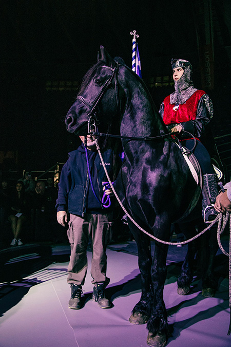 no limits 33 arthro 8