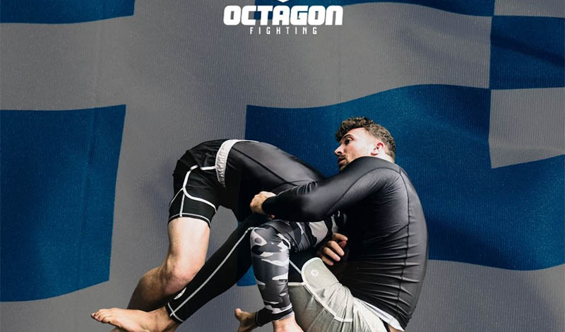 octagon fighting 30
