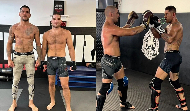 sean strickland alex pereira 201