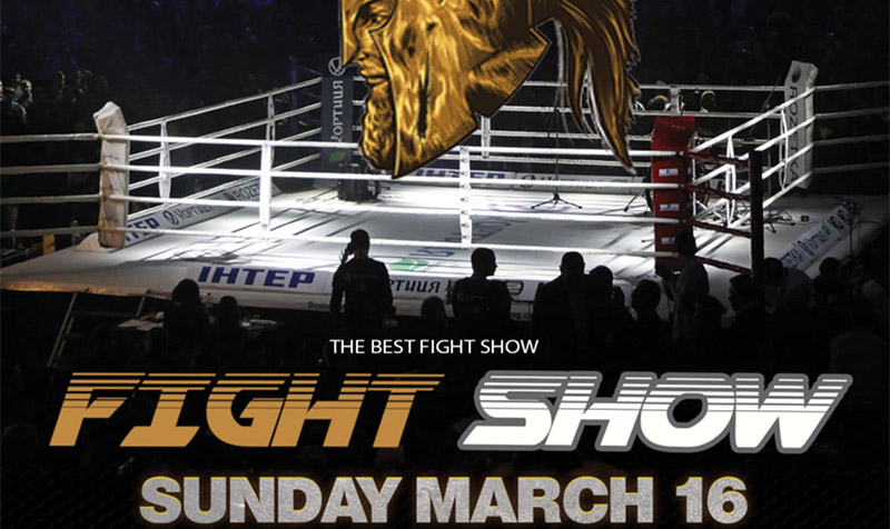 the honour of fighters 10