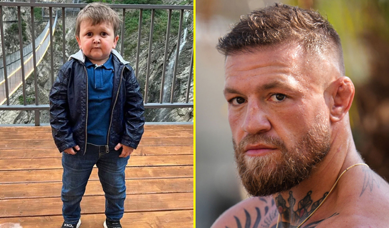 mcgregor hasbulla 15