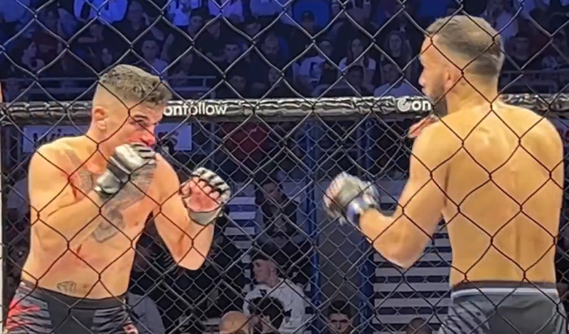 mcp 12 live apotelesmata results