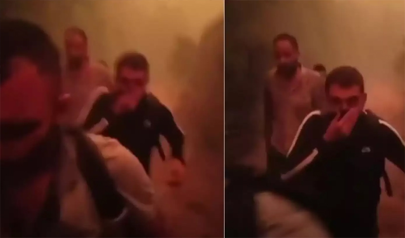 metanastes kaikan dasos