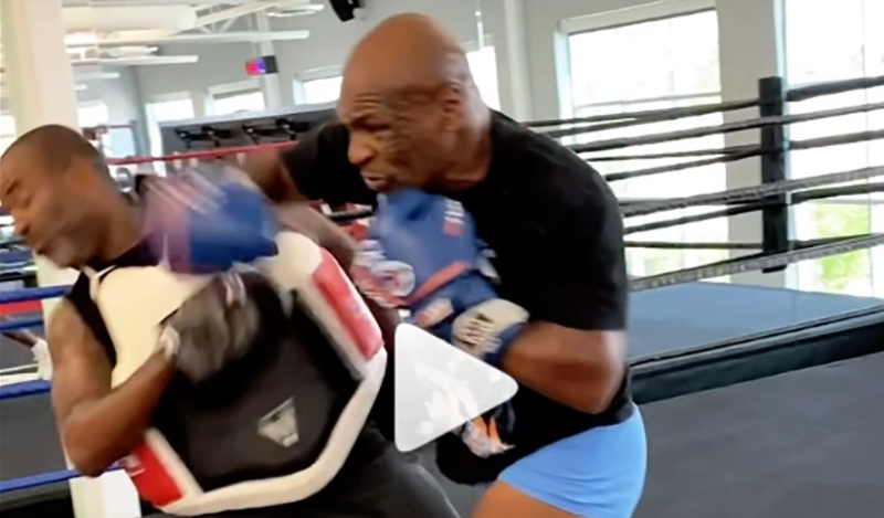 mike tyson boxing pygmaxia