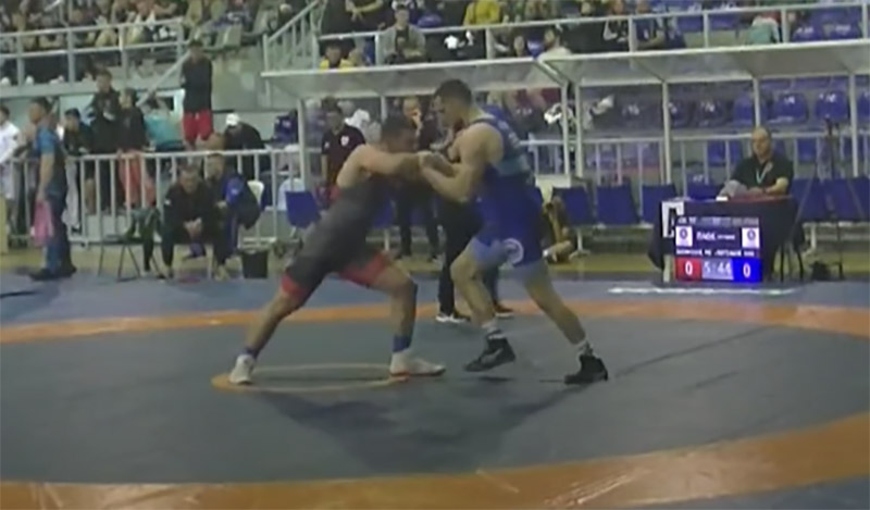 panellinio palis 600