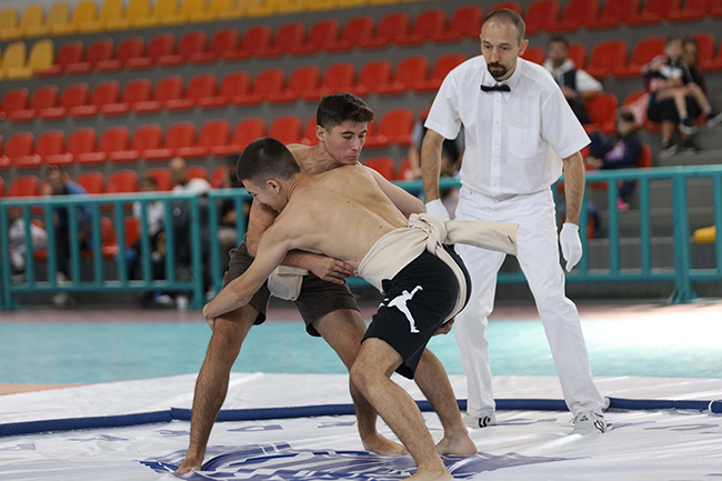 panellinio protathlima sumo 26