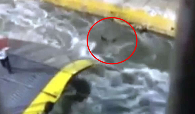 proagogi limenarxis blue horizon