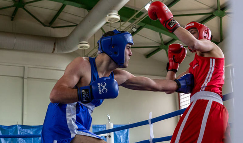 protathlima pygmaxias elite