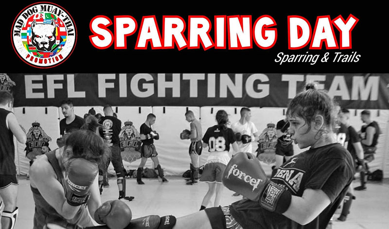 sparring day mad dog 009