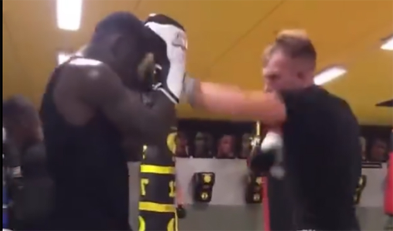 sparring partnerer epithesi