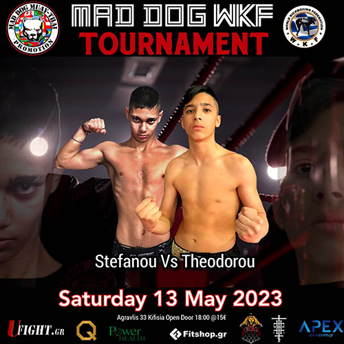 stefanou theodorou
