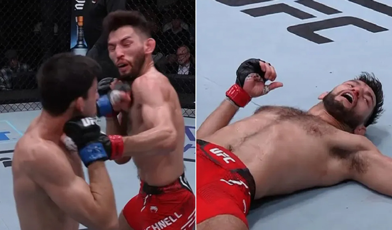 steve erceg walk off nok aout