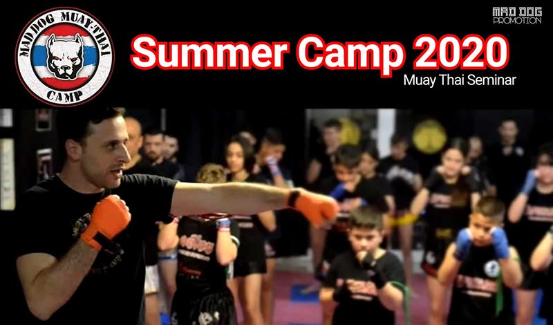 summer camp seminario 0