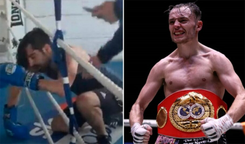 sunny edwards twitter troll