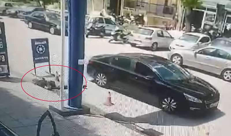 thessaloniki pyrovolismos 50xronos arthro 9