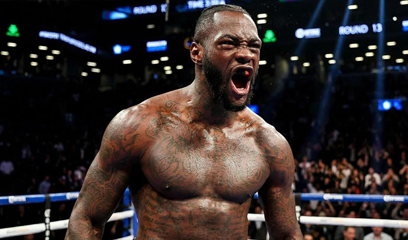deontay wilder boxer