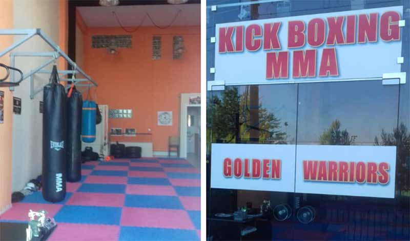 golden warriors 3955