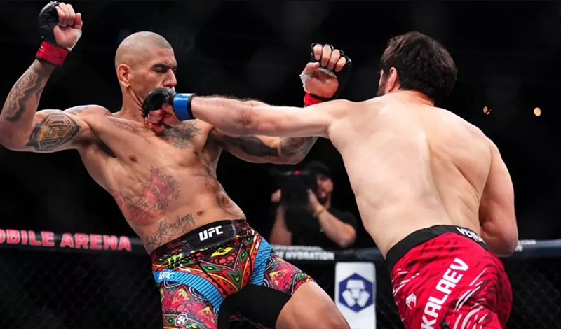 alex pereira magomed ankalaev 345