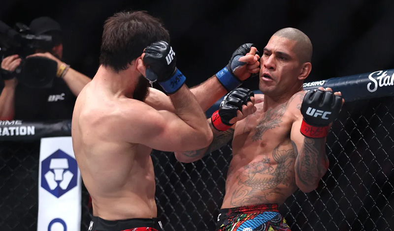 alex pereira magomed ankalaev instagram