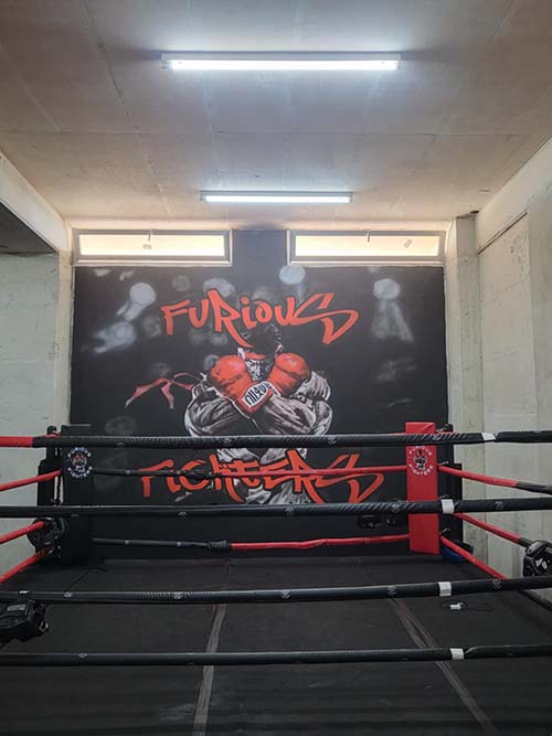 furious fighters 559