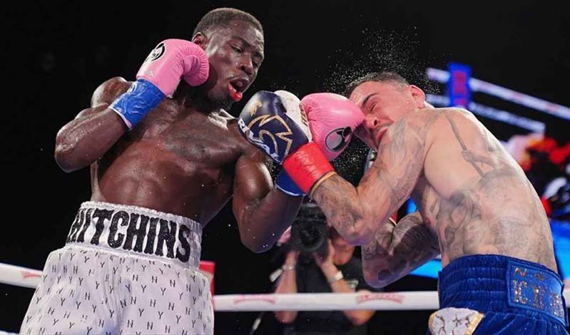 hitchins kambosos 66