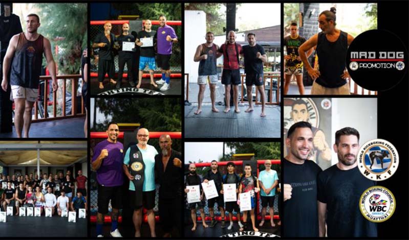 mad dog promotion sezon11