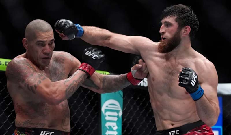 magomed ankalaev alex pereira 8