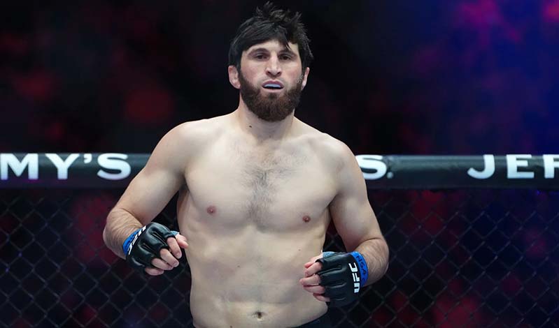 magomed ankalaev 555