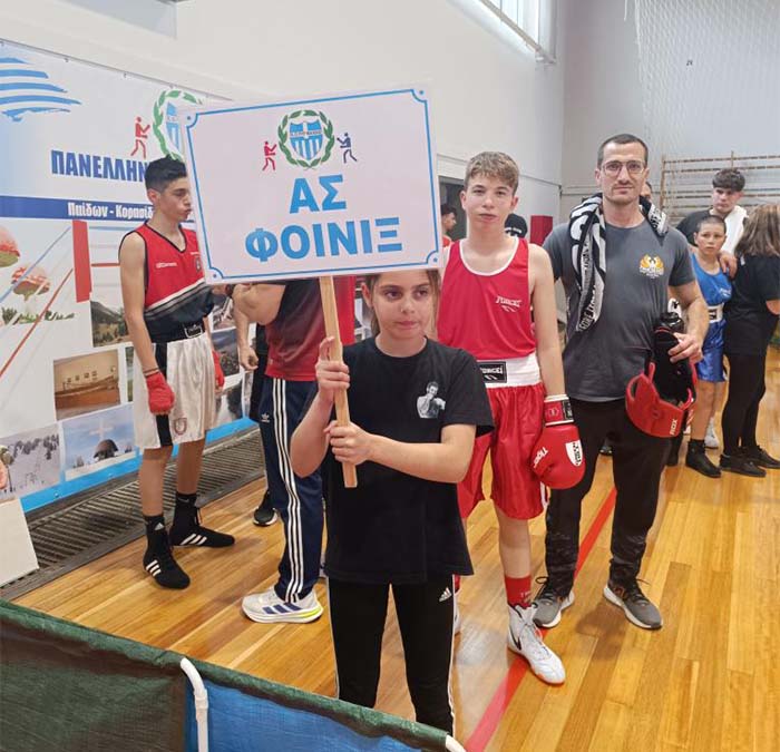 phoenix boxing club panellinio 435