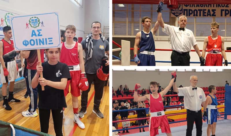 phoenix boxing club panellinio