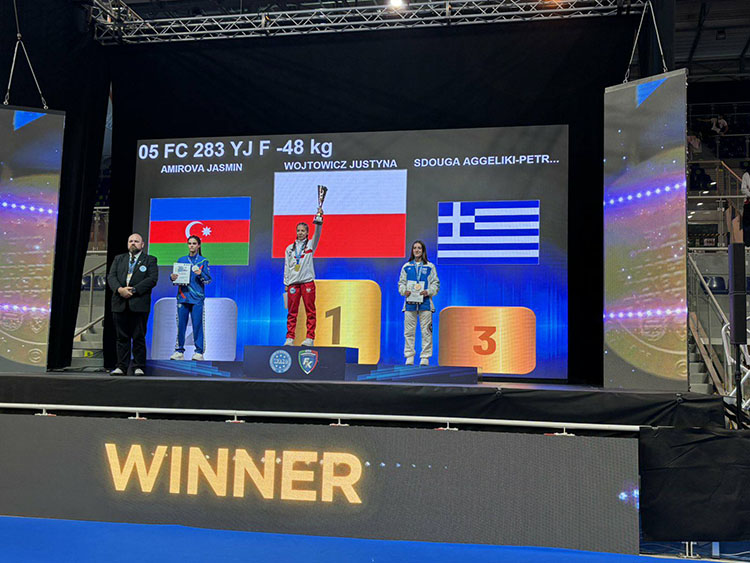 zarmakoupis team paneuropaiko kickboxing wako 6